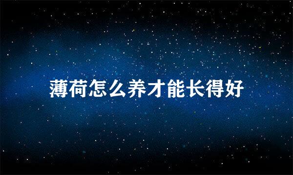 薄荷怎么养才能长得好