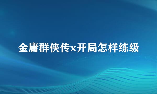 金庸群侠传x开局怎样练级