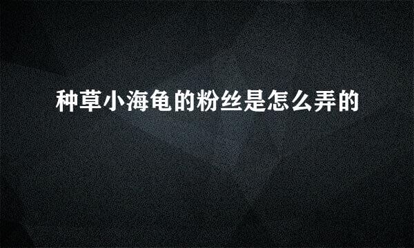 种草小海龟的粉丝是怎么弄的