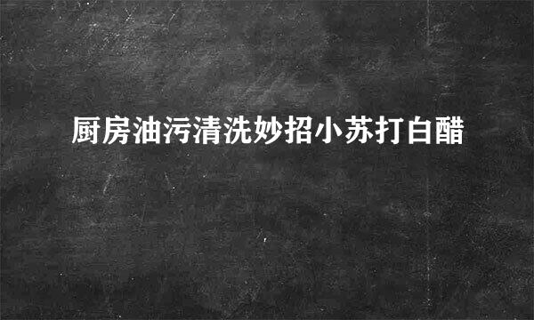 厨房油污清洗妙招小苏打白醋