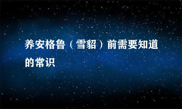 养安格鲁（雪貂）前需要知道的常识