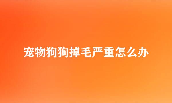 宠物狗狗掉毛严重怎么办