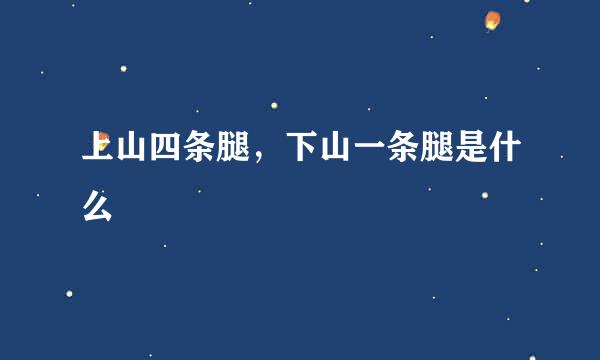 上山四条腿，下山一条腿是什么
