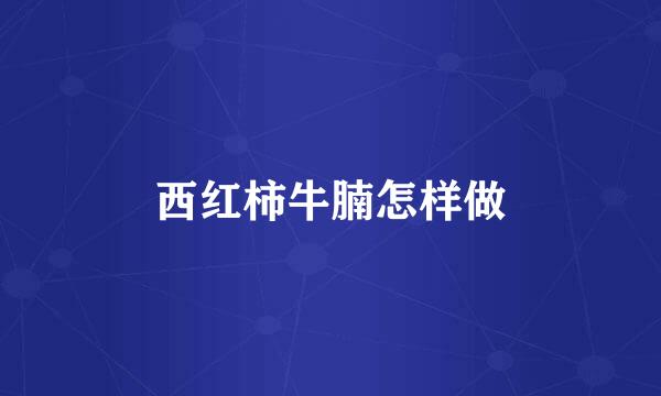 西红柿牛腩怎样做