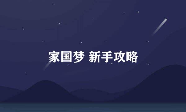 家国梦 新手攻略