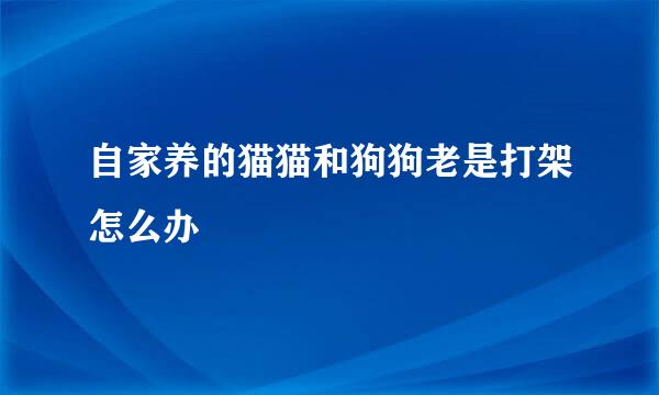 自家养的猫猫和狗狗老是打架怎么办