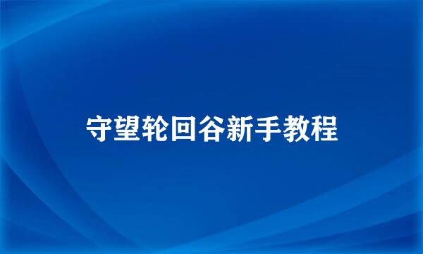 守望轮回谷新手教程