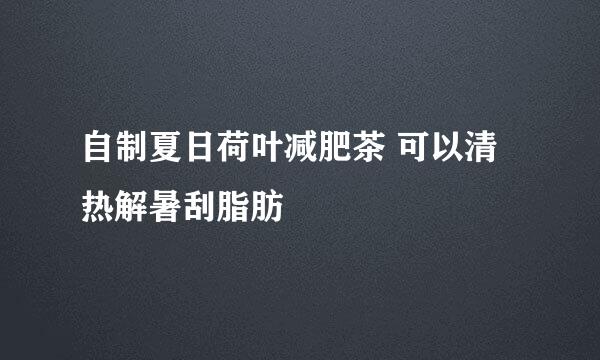 自制夏日荷叶减肥茶 可以清热解暑刮脂肪