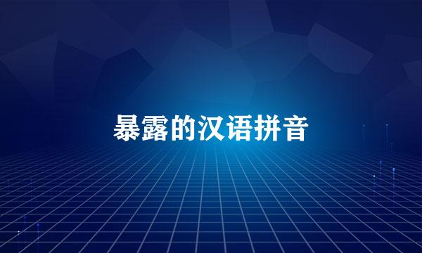 暴露的汉语拼音