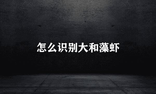 怎么识别大和藻虾