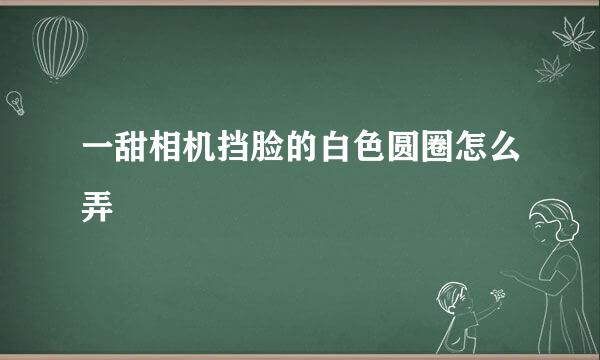 一甜相机挡脸的白色圆圈怎么弄