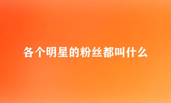 各个明星的粉丝都叫什么