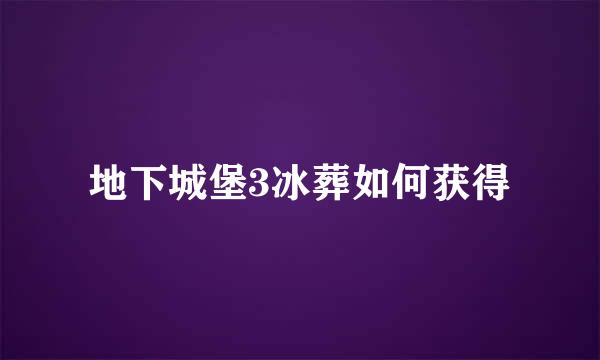 地下城堡3冰葬如何获得