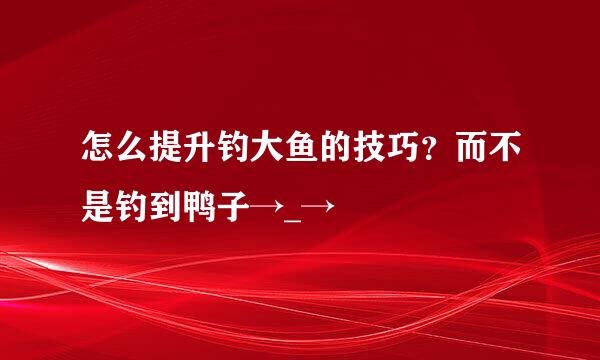 怎么提升钓大鱼的技巧？而不是钓到鸭子→_→