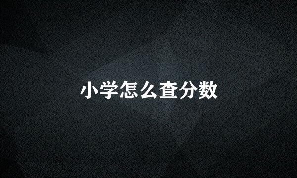 小学怎么查分数