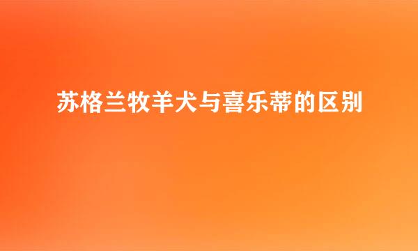 苏格兰牧羊犬与喜乐蒂的区别