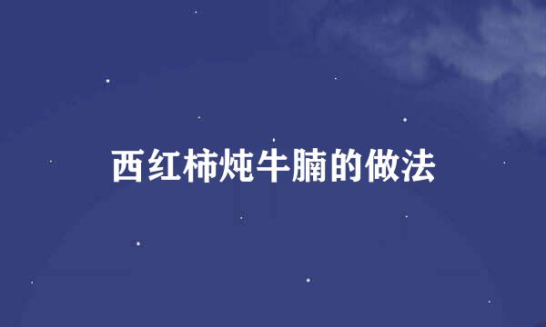 西红柿炖牛腩的做法