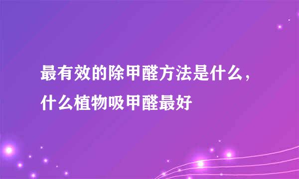 最有效的除甲醛方法是什么，什么植物吸甲醛最好