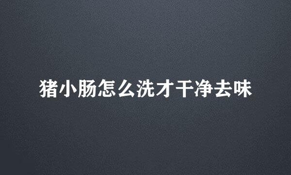 猪小肠怎么洗才干净去味