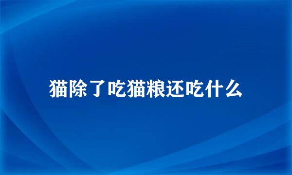 猫除了吃猫粮还吃什么