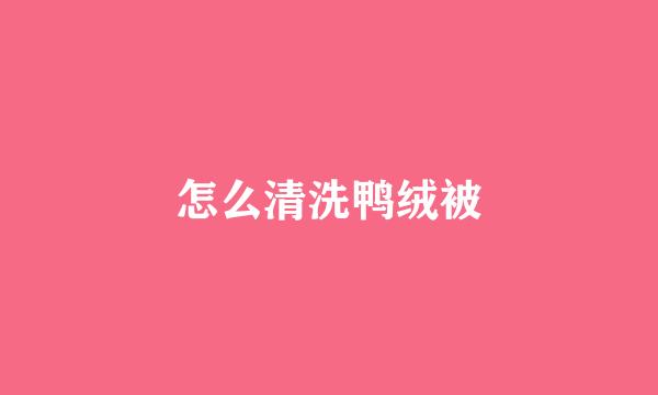 怎么清洗鸭绒被