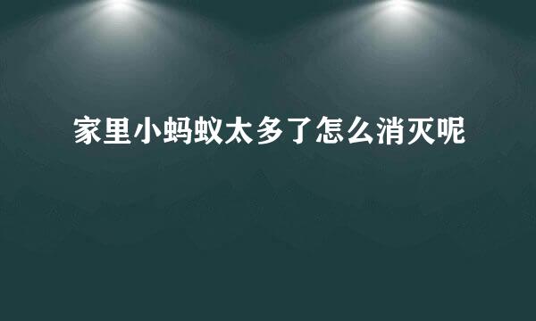 家里小蚂蚁太多了怎么消灭呢