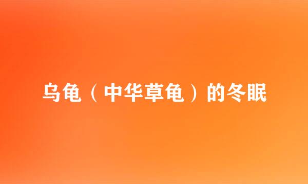 乌龟（中华草龟）的冬眠