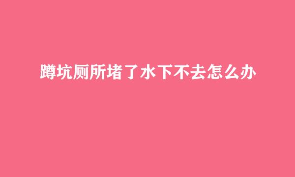 蹲坑厕所堵了水下不去怎么办