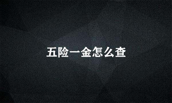 五险一金怎么查
