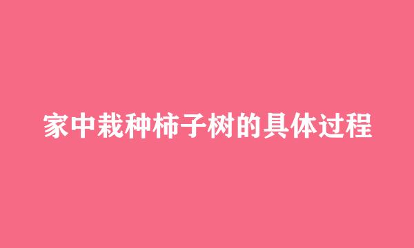 家中栽种柿子树的具体过程