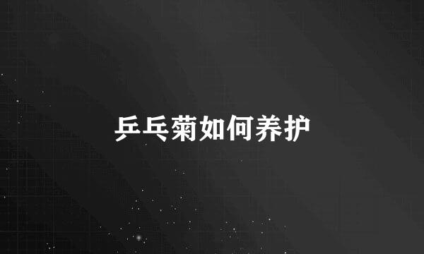 乒乓菊如何养护