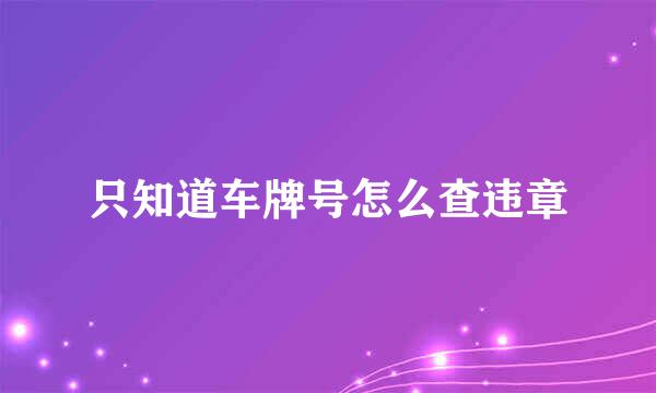 只知道车牌号怎么查违章