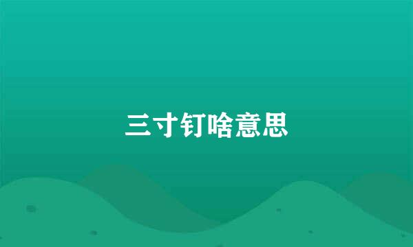 三寸钉啥意思
