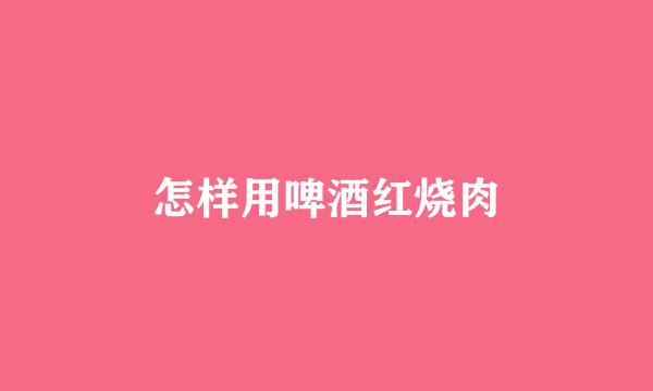 怎样用啤酒红烧肉