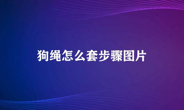 狗绳怎么套步骤图片