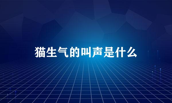 猫生气的叫声是什么