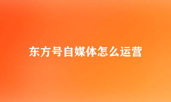 东方号自媒体怎么运营