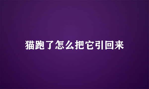 猫跑了怎么把它引回来