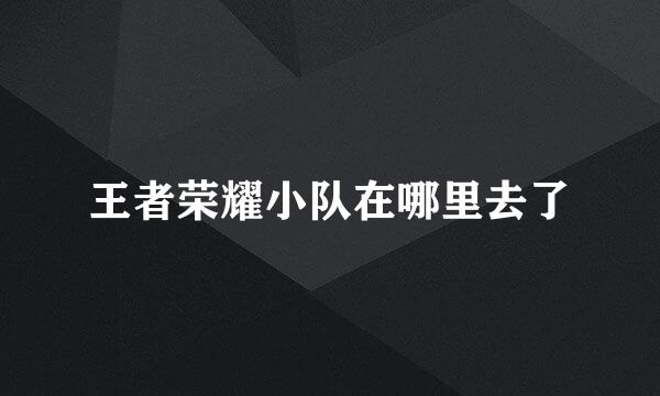 王者荣耀小队在哪里去了