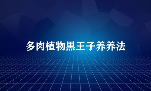 多肉植物黑王子养养法