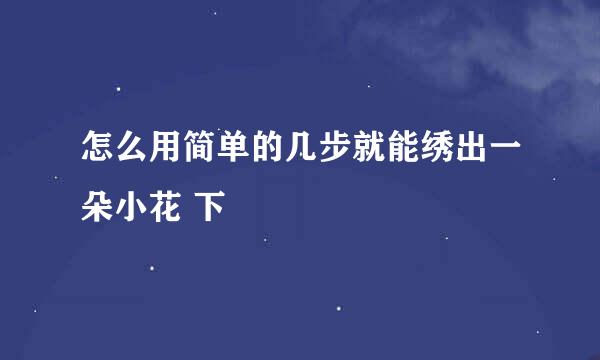 怎么用简单的几步就能绣出一朵小花 下