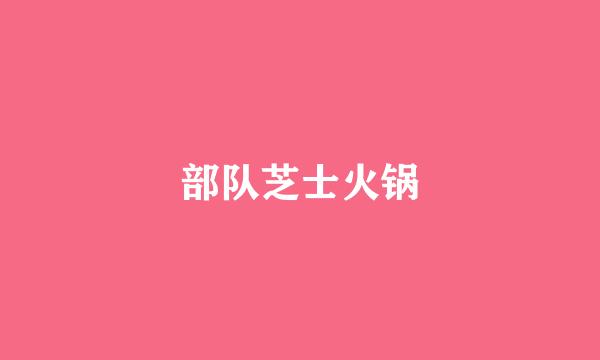 部队芝士火锅