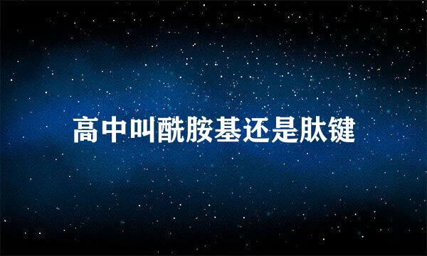 高中叫酰胺基还是肽键