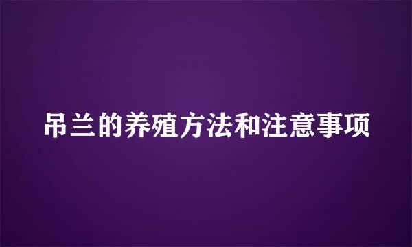 吊兰的养殖方法和注意事项