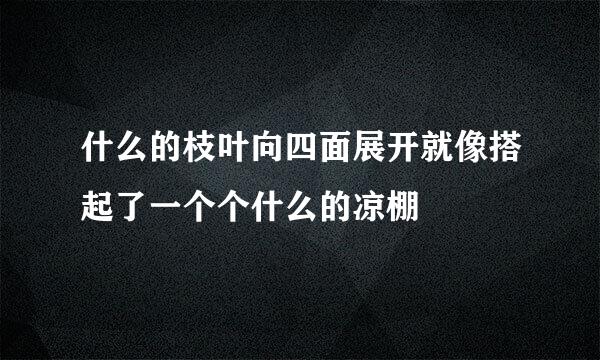 什么的枝叶向四面展开就像搭起了一个个什么的凉棚