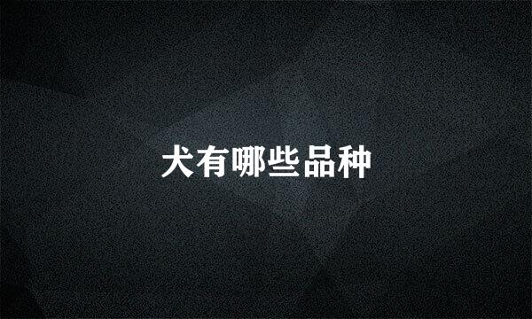 犬有哪些品种
