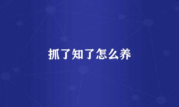 抓了知了怎么养