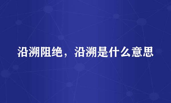 沿溯阻绝，沿溯是什么意思