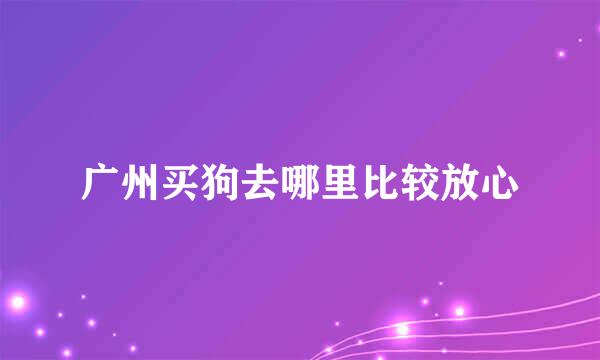 广州买狗去哪里比较放心