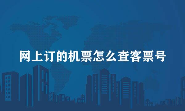 网上订的机票怎么查客票号